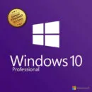 Windows 10 Pro Toplu Sipariş