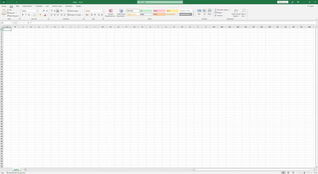 Office 2021 Excel tablo ve grafik ekranı