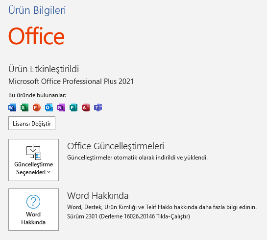 Office 2021 Professional Plus Key - Görsel 2