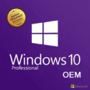 Windows 10 Pro OEM Lisans Key